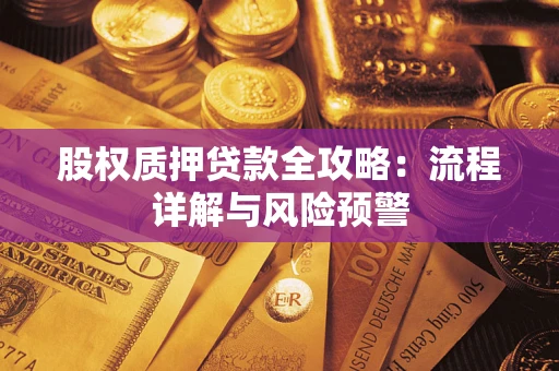 北京股权质押贷款全攻略：流程详解与风险预警
