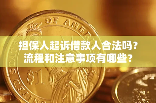 北京担保人起诉借款人合法吗？流程和注意事项有哪些？